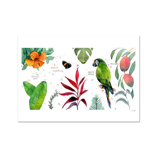 Green Macaw Art Print