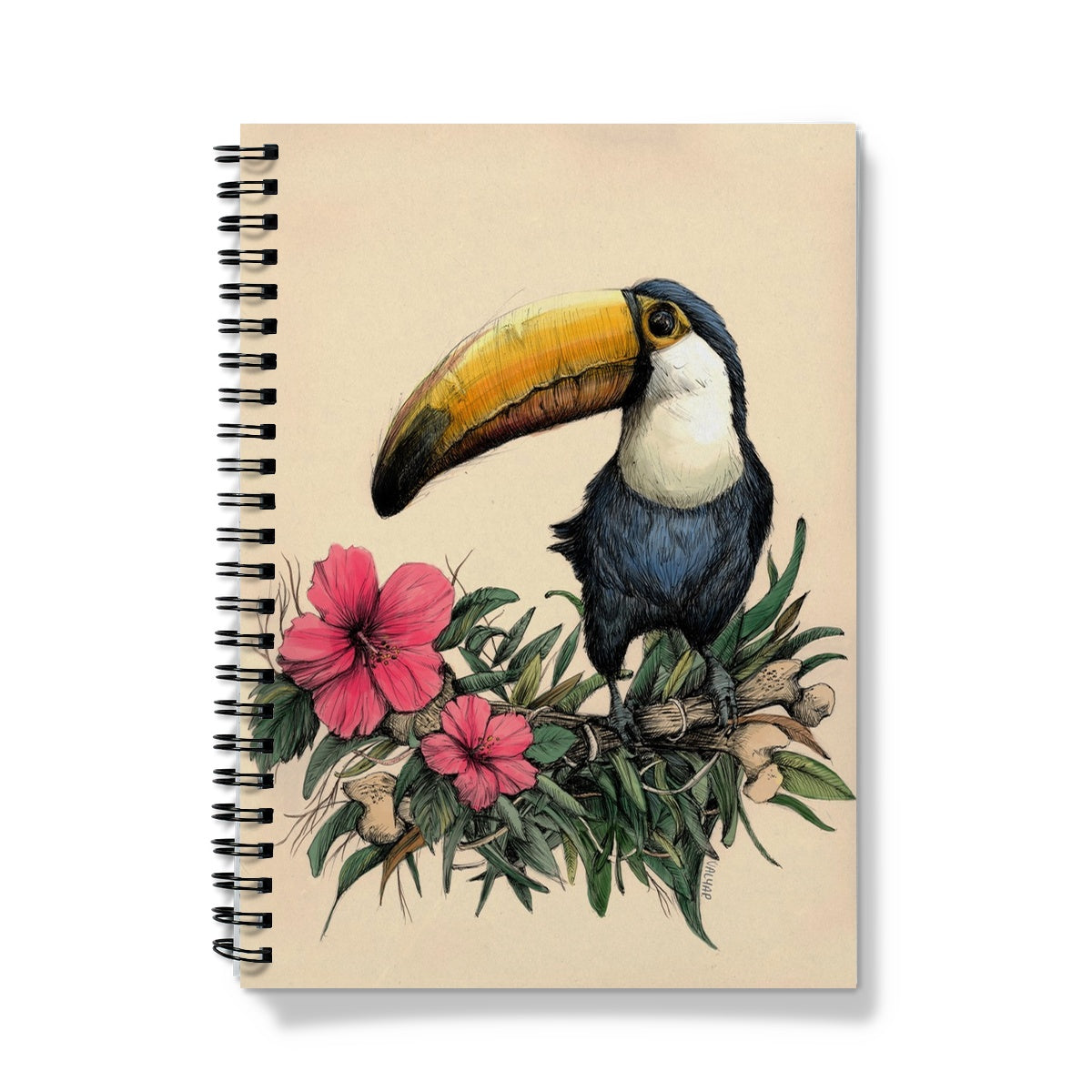 Toucan Notebook