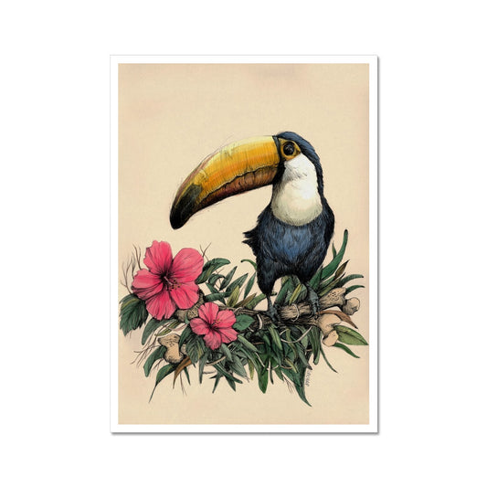 Toucan Art Print